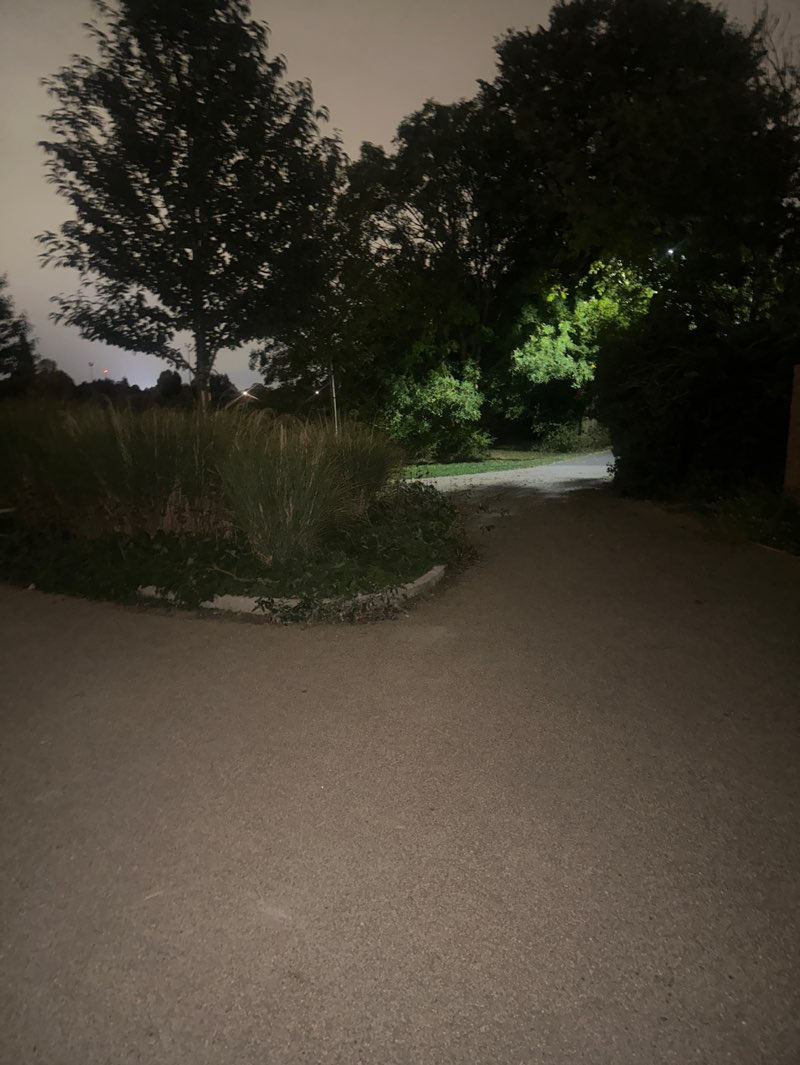 walking near me in Glebelands Playing Fields Park in autumn