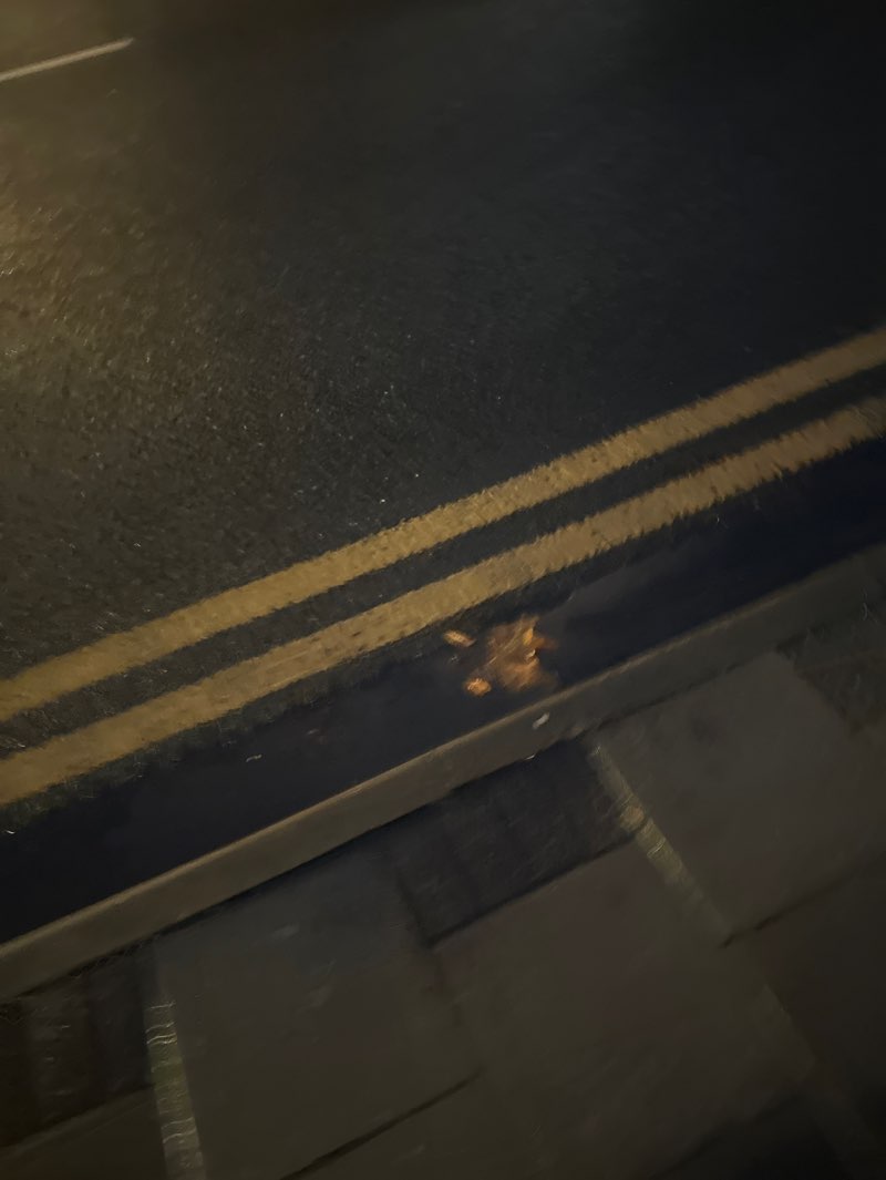 walking near me in Bachelors Acre in autumn