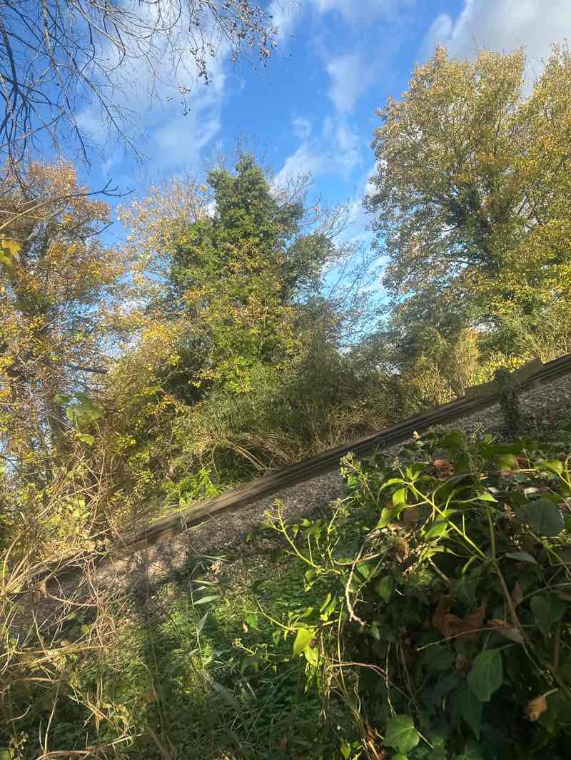 walking near me in Moormede Recreation Ground in autumn