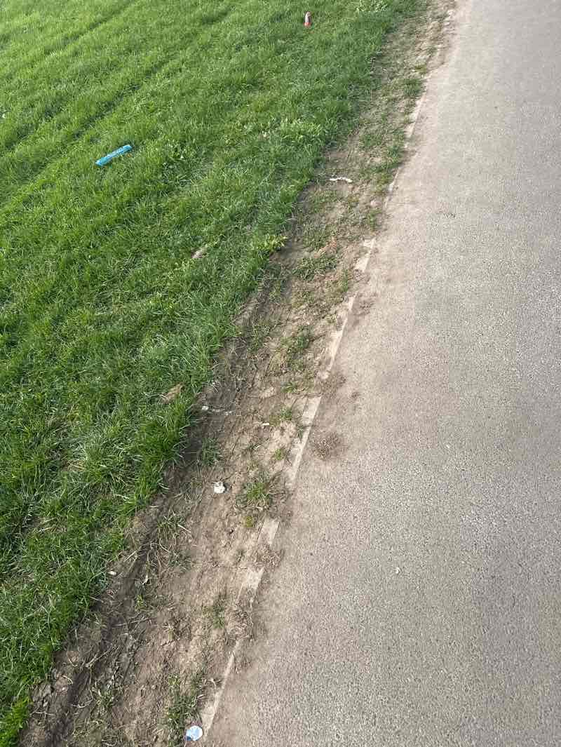 walking near me in Glebelands Playing Fields Park in spring