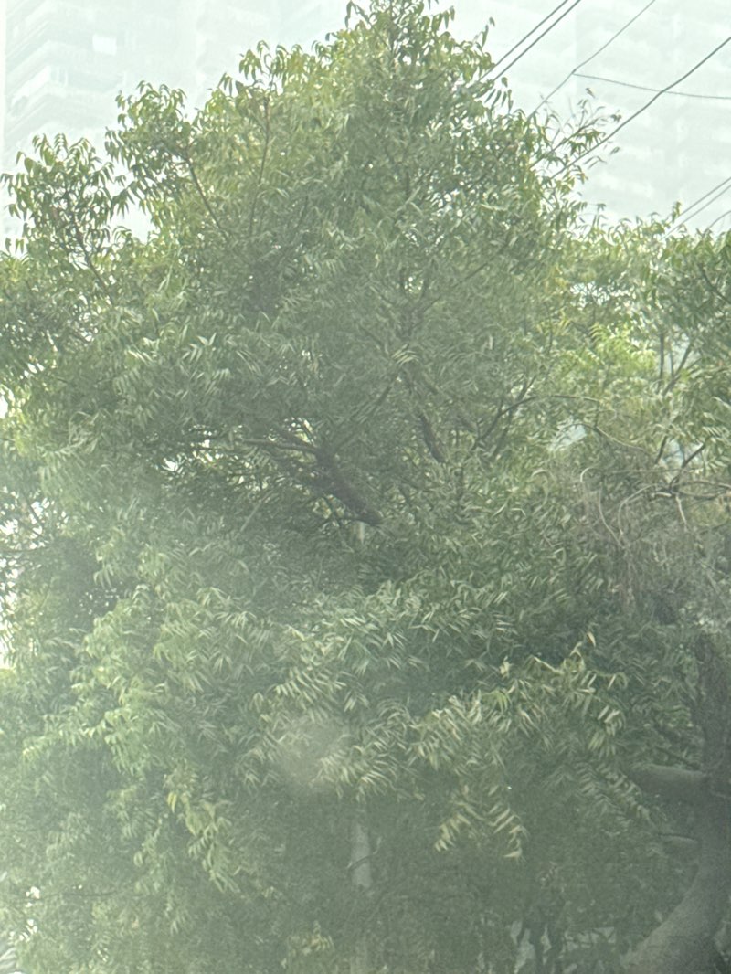 walking near me in Gaur City Stadium in autumn