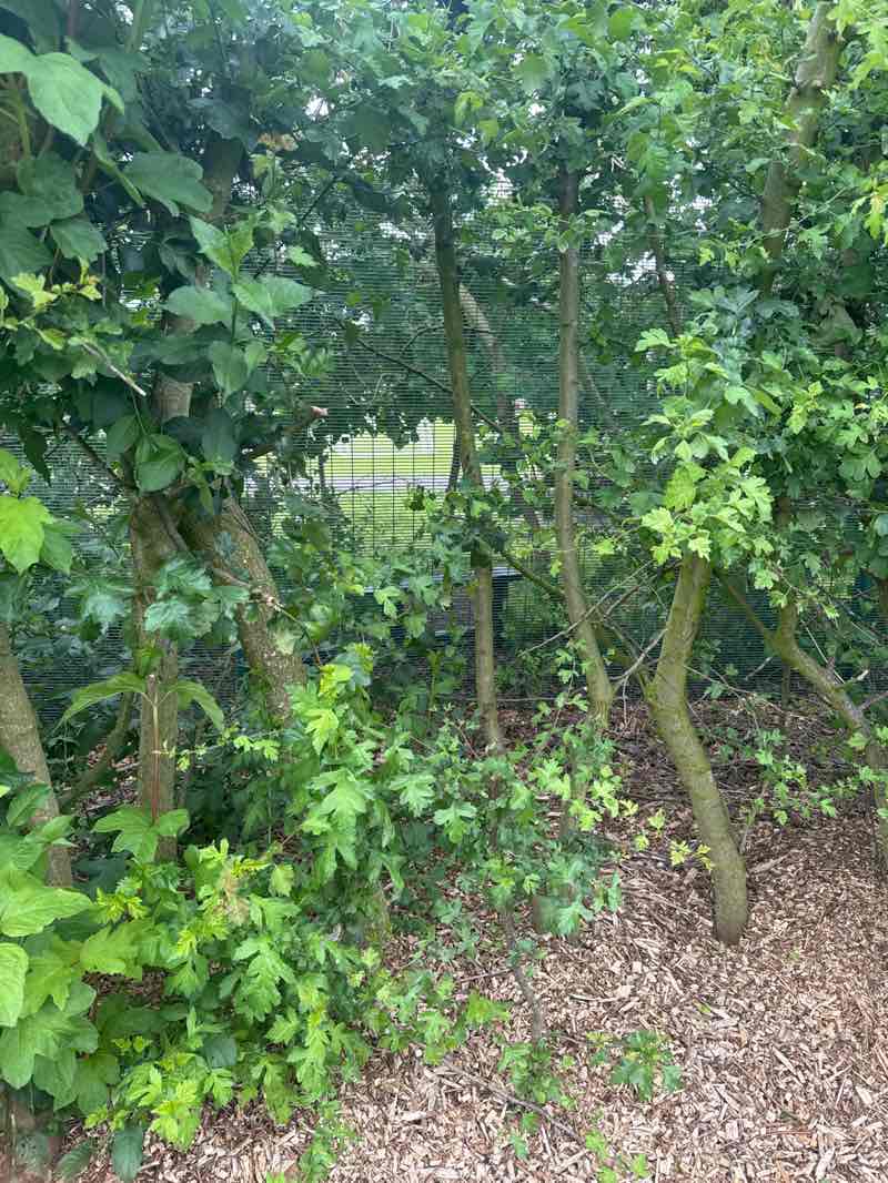 walking near me in Town Park in summer