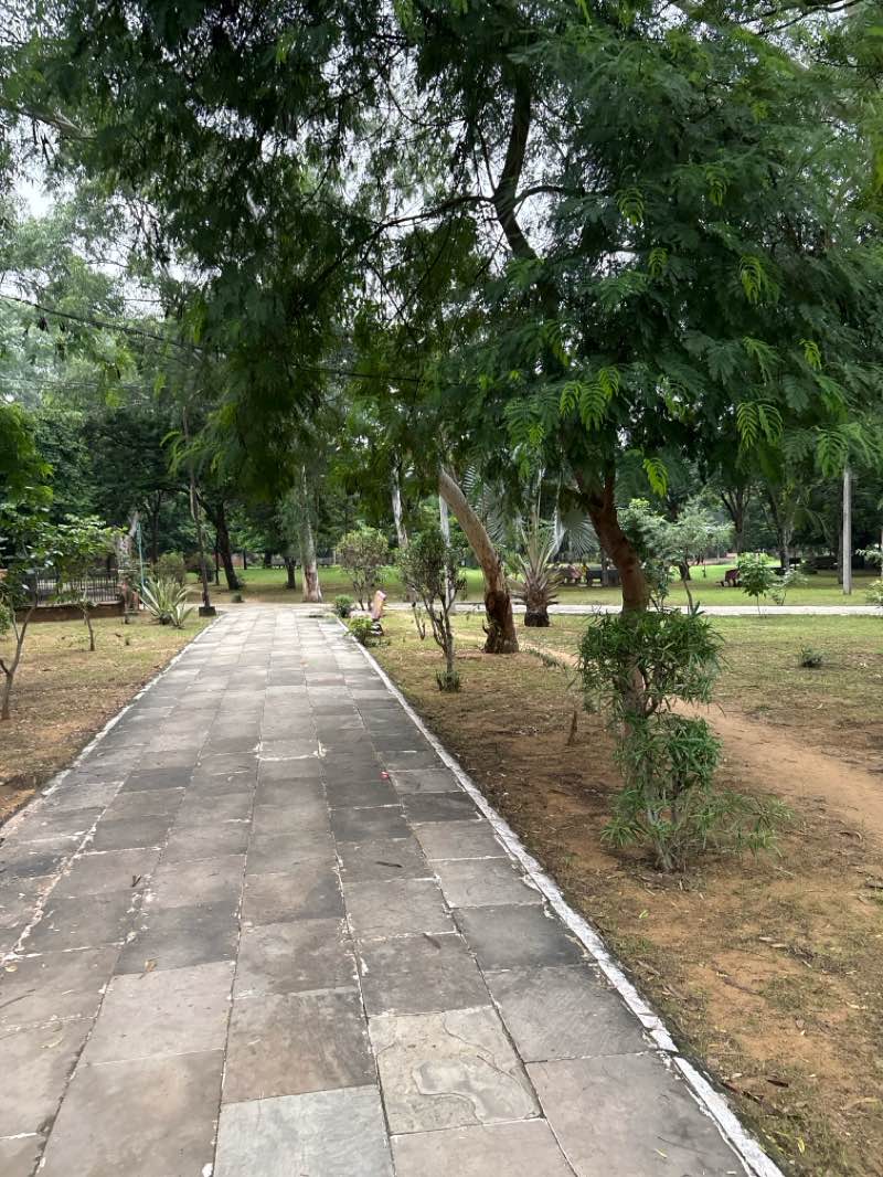 walking near me in Tilak Park in autumn