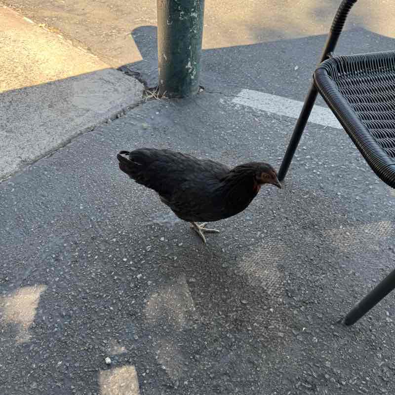 PRO Team Kiran S post image