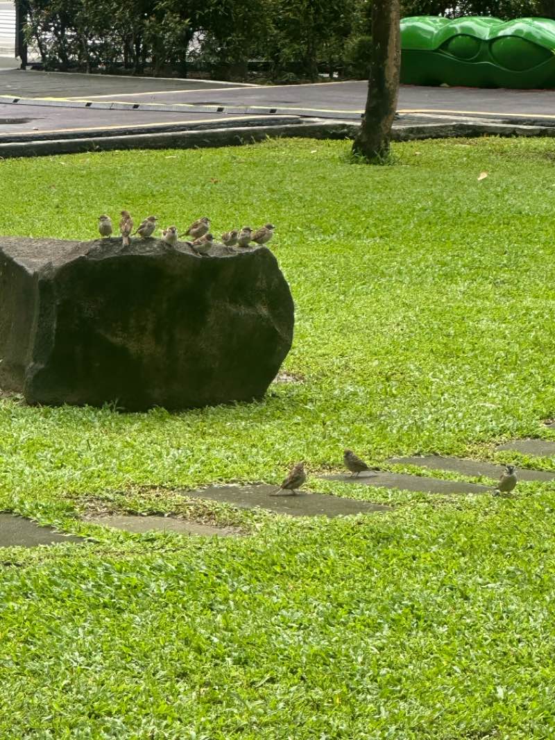 walking near me in Terra 28th in autumn