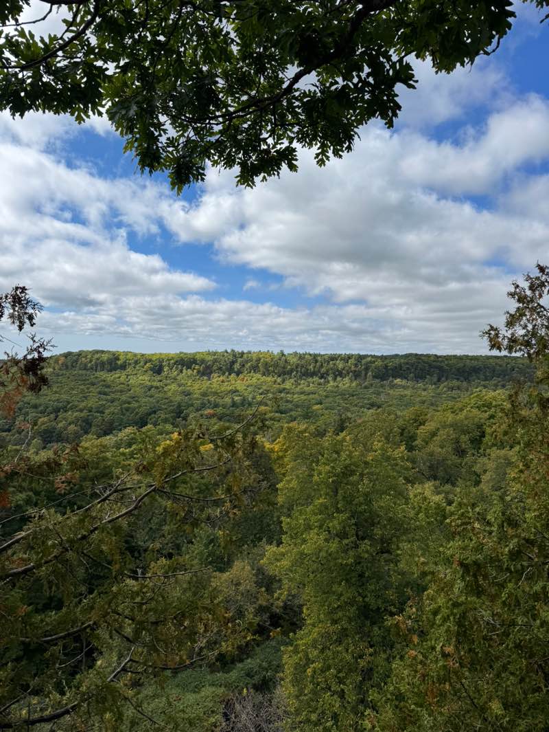 walking near me in Crawford Lake Conservation Area in autumn