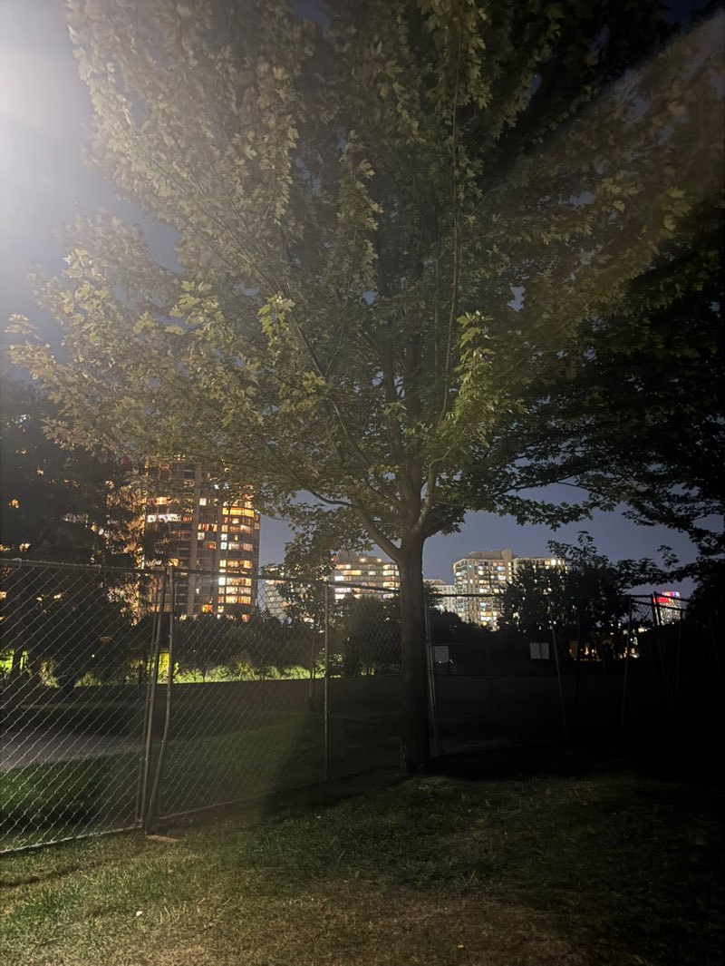 walking near me in Kingsbridge Common in autumn