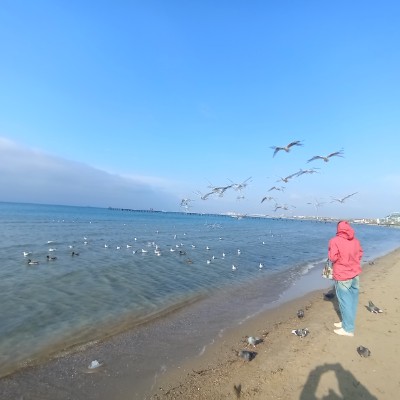 Шагай с СБП Шагай с СБП post image