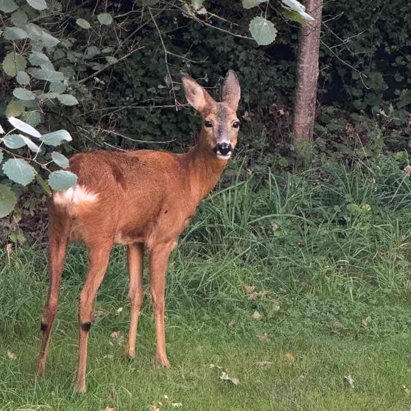 Stockholm Yuliia post image