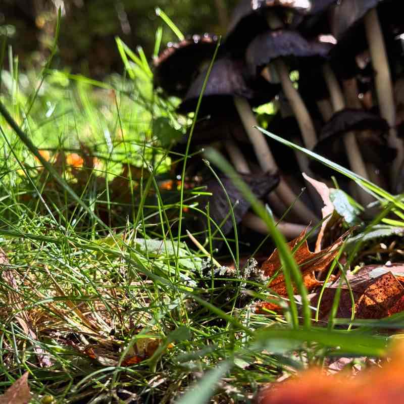 Stockholm Yuliia post image