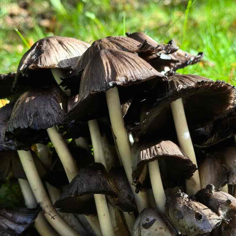 Stockholm Yuliia post image