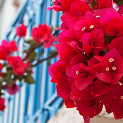 The challenge Djouzef Yousef post image