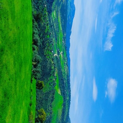 The challenge Djouzef Yousef post image