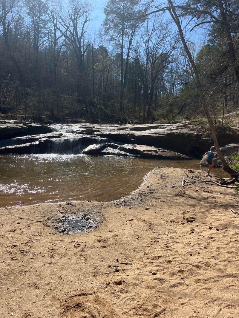walking near me in Musgrove Mill State Historic Site in spring