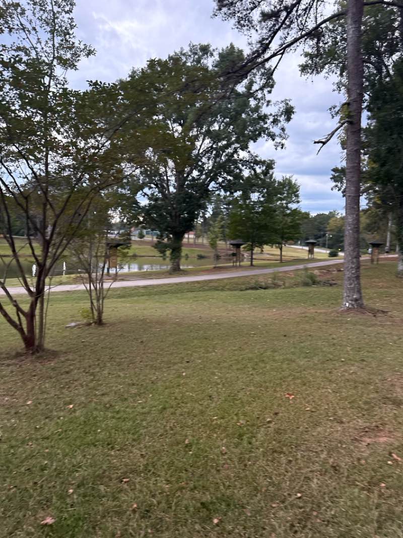 walking near me in Foster Park in autumn