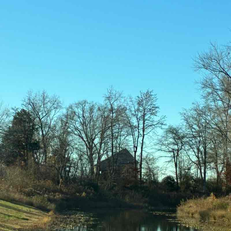 Grounds for Good Health Grounds for Good Health post image