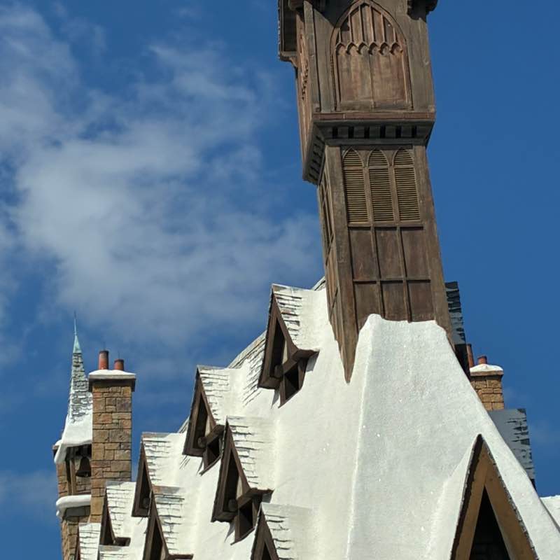 Walking Beyond 10K+ Together 🚶 Ivy Vaughn post image