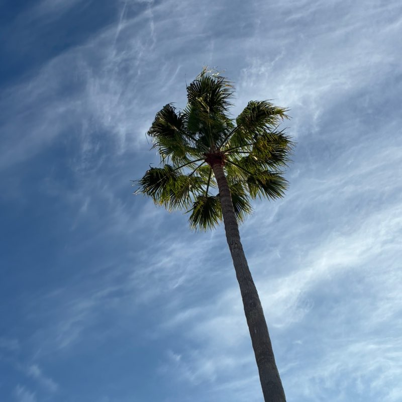 Walking Beyond 10K+ Together 🚶 Ivy Vaughn post image