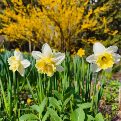 🦔Ёжик в Тумане🎄 ✨🍭Polly🍭✨ post image