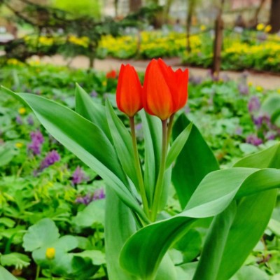 🦔Ёжик в Тумане🎄 ✨🍭Polly🍭✨ post image