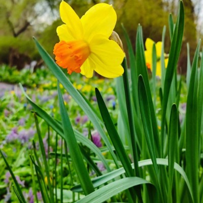 🦔Ёжик в Тумане🎄 ✨🍭Polly🍭✨ post image