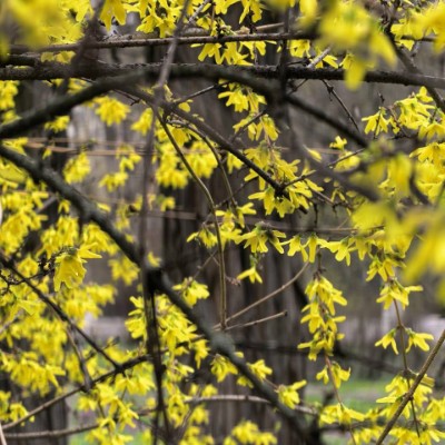 🦔Ёжик в Тумане🎄 ✨🍭Polly🍭✨ post image