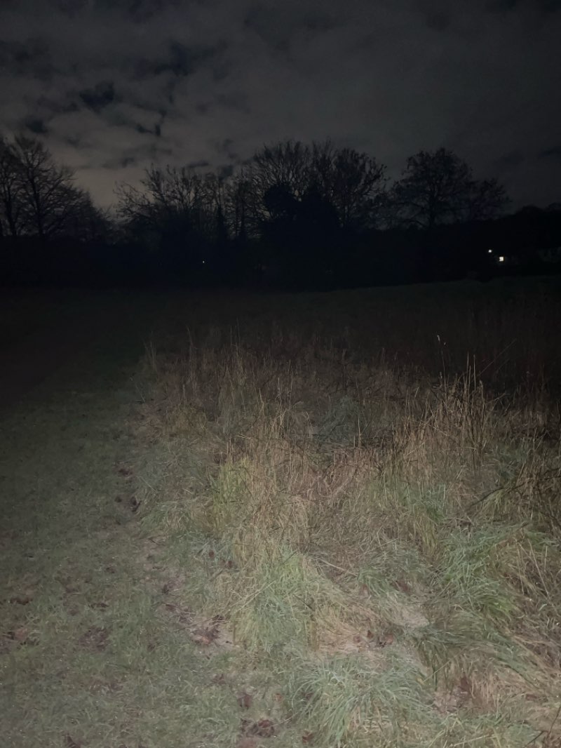 walking near me in Canford Park in winter