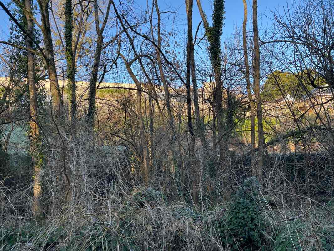 walking near me in Blaise Castle Estate in winter