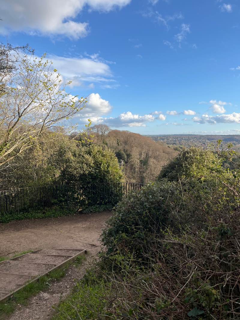 walking near me in Blaise Castle Estate in spring