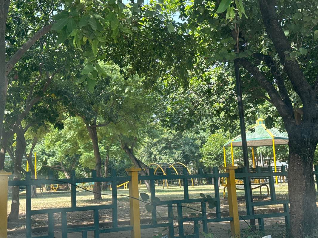 walking near me in G-11/3 Park in autumn