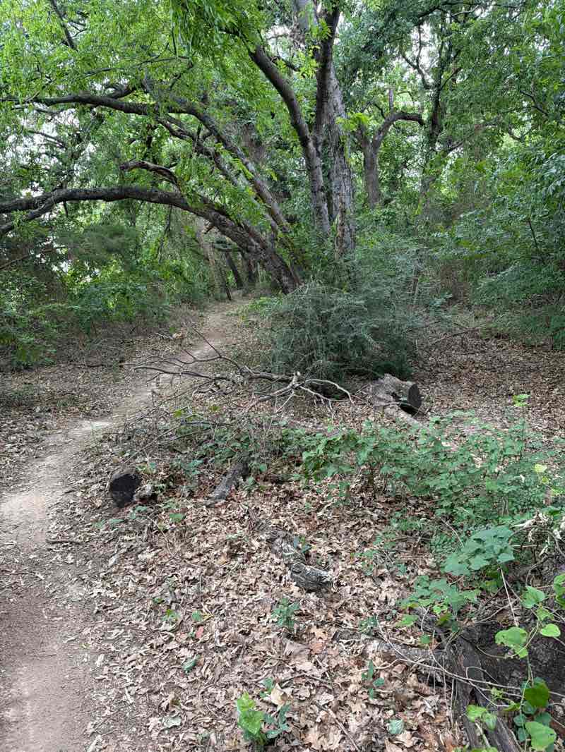 walking near me in Corinth Community Park in spring