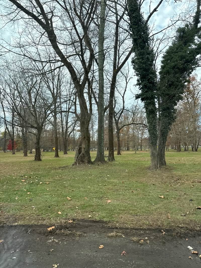 walking near me in Johnson Park in autumn