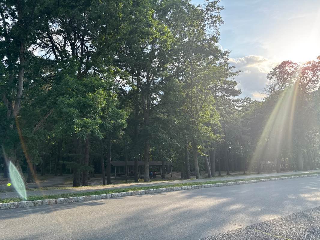 walking near me in Albert Avenue Park in summer