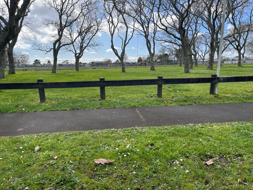 walking near me in Deanwell Park in spring