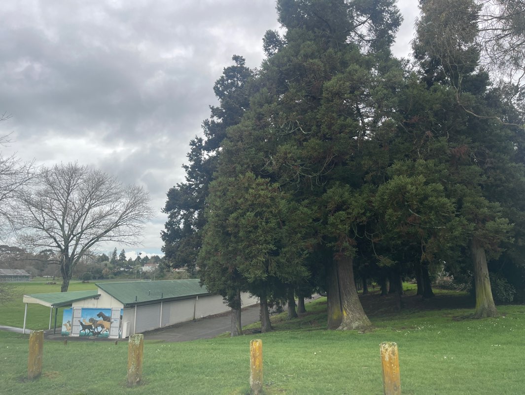 walking near me in Melville Park in spring