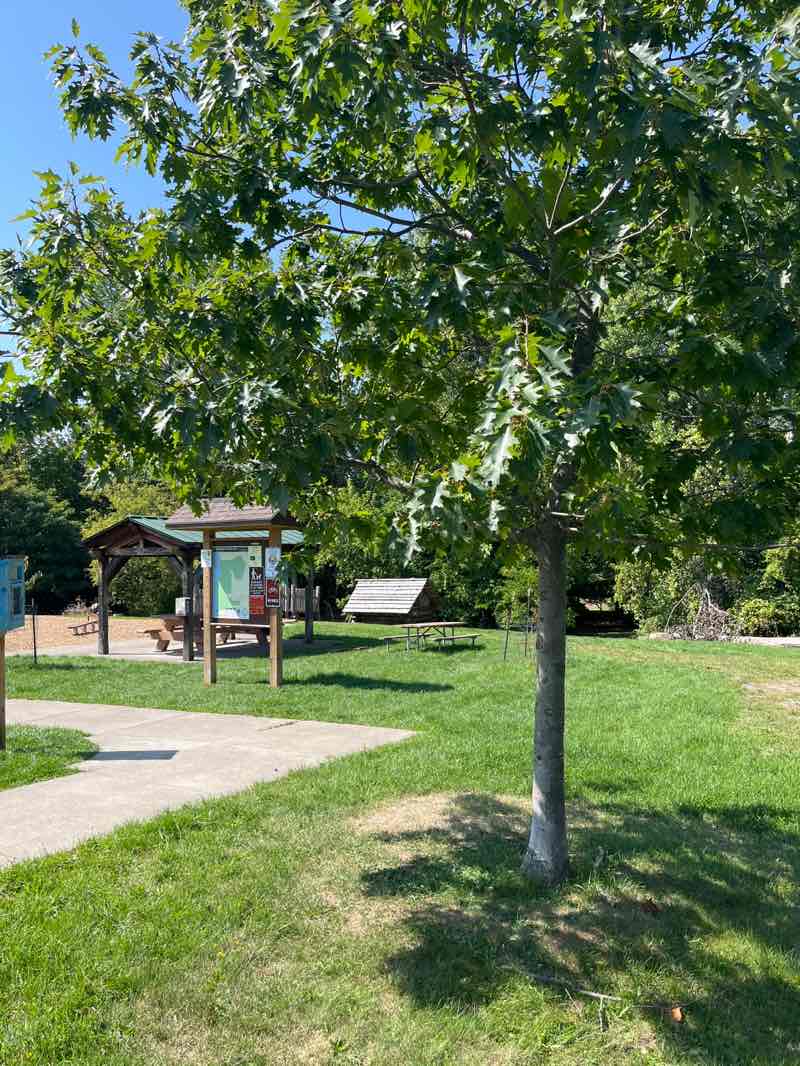 walking near me in Abraham Lincoln Park in autumn