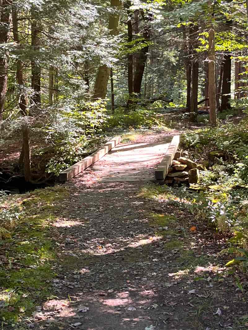 walking near me in Kooser State Park in autumn