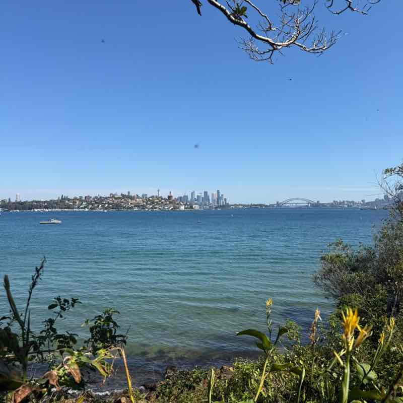 fri night steps ✨ sofiasmitiouk post image