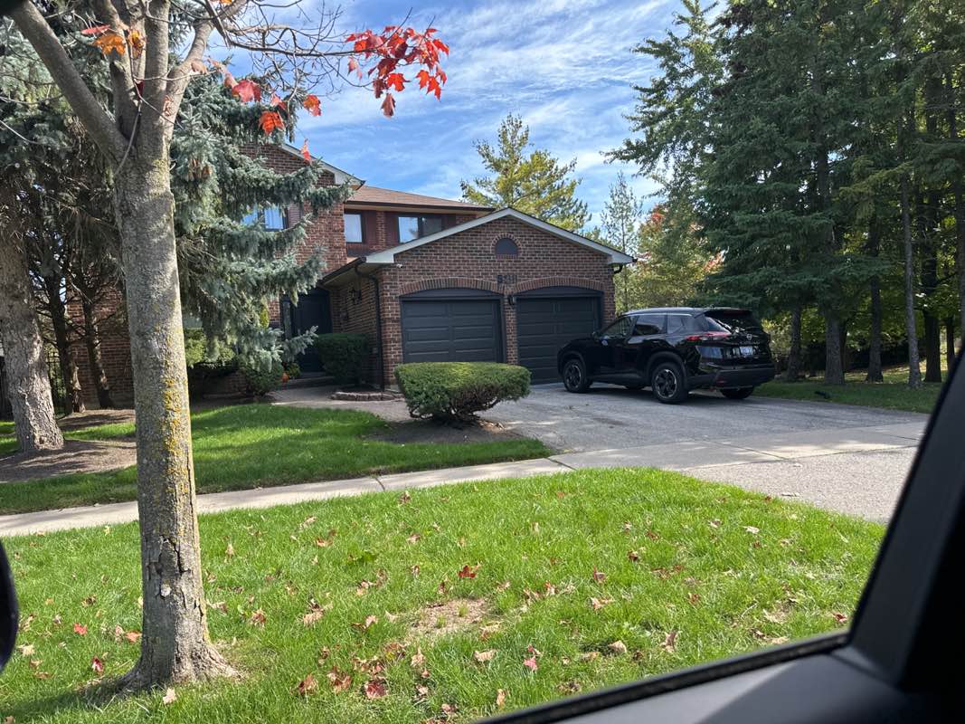 walking near me in Village Park in autumn