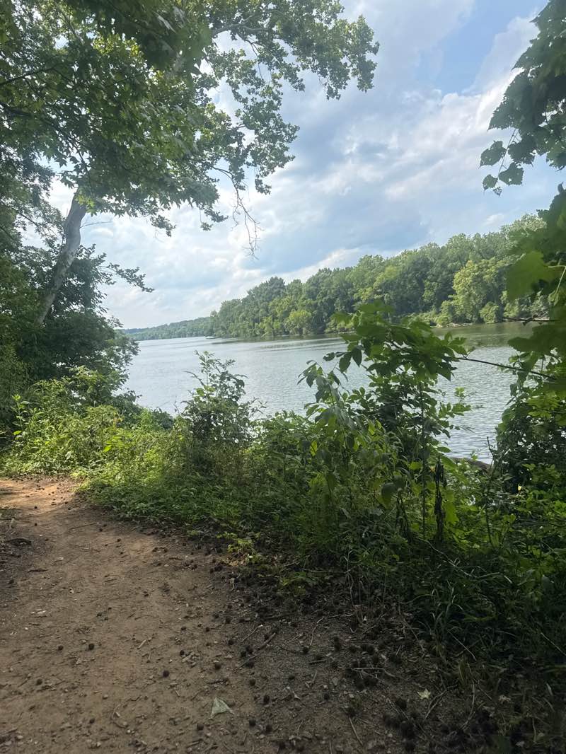 walking near me in Robious Landing Park in summer