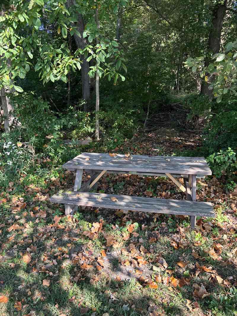 walking near me in Winona Lake Trails Park in autumn