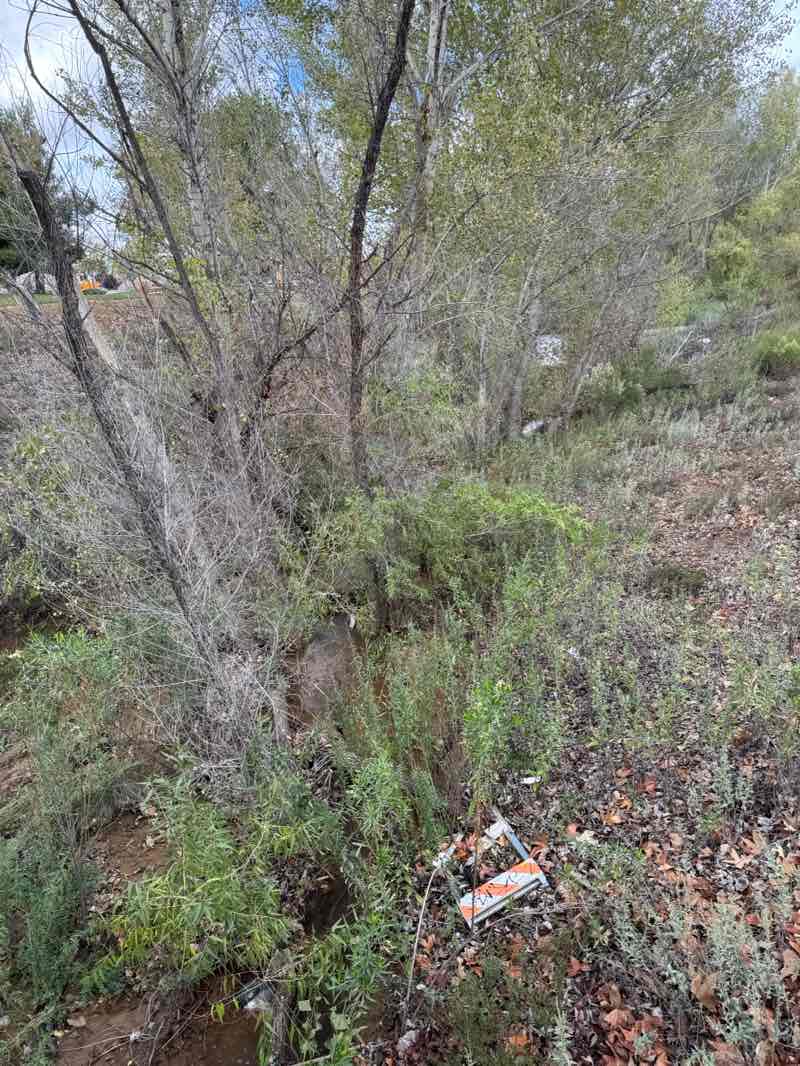 walking near me in Deforge Park in autumn