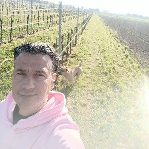 Fabio Postorino