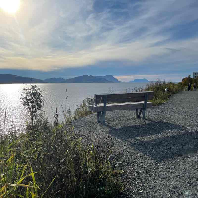 Grades Nordic Step Challenge Kathrine Andersen post image