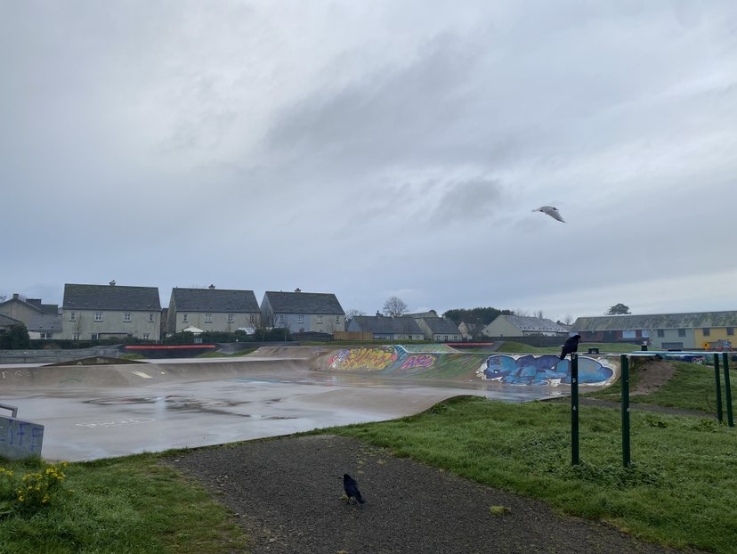 walking near me in Dungarvan Linear Park in winter