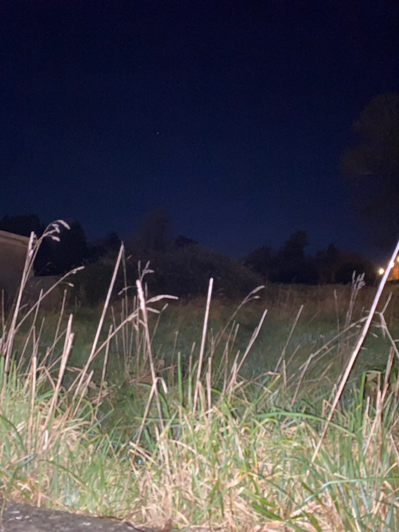 walking near me in Ferrybank Pitch and Putt in winter