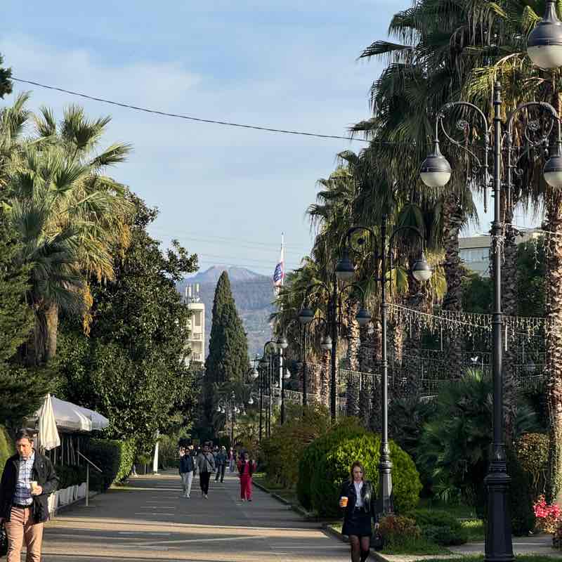 Сочифорния Валерия post image