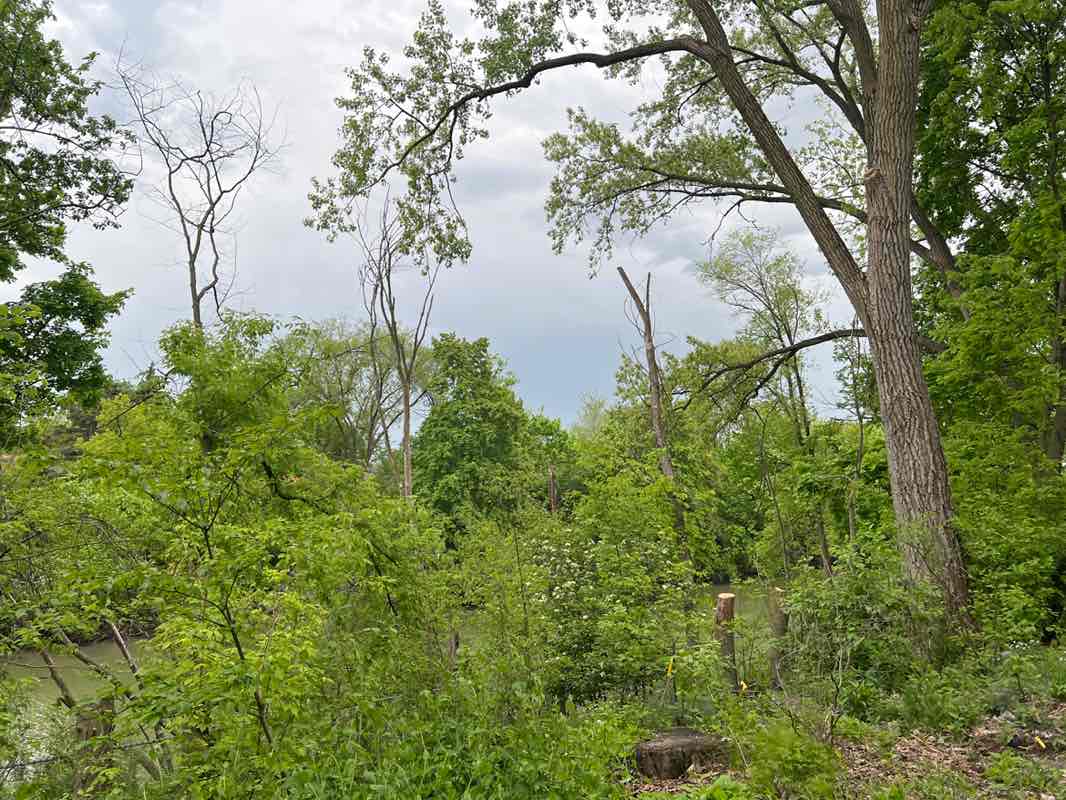 walking near me in William H. Twiggs Park in spring