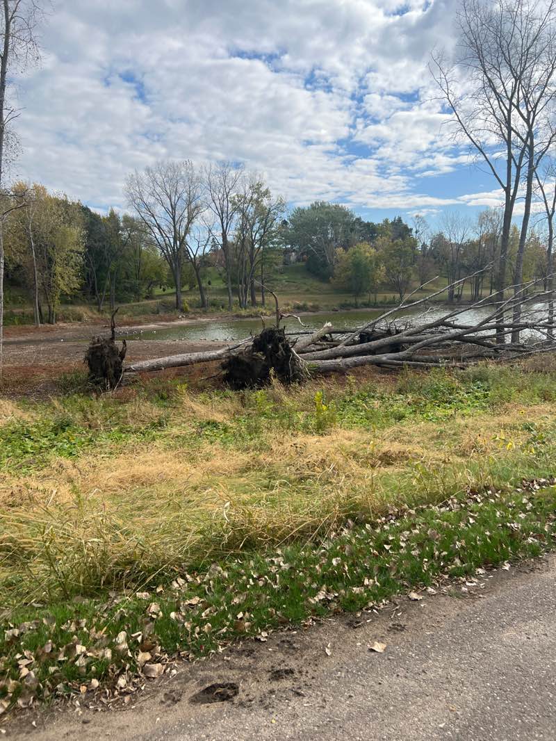 walking near me in Pine Tree Pond Park in autumn