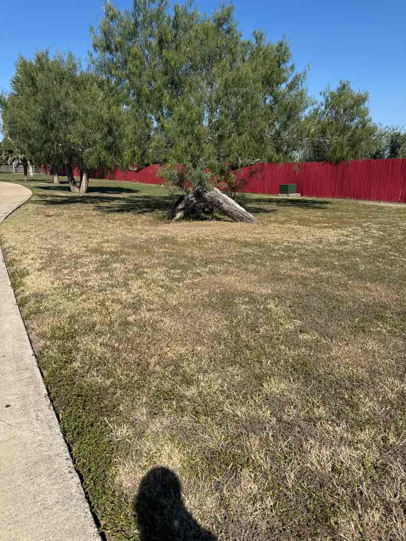 walking near me in Charles Martin Cabler Park in autumn